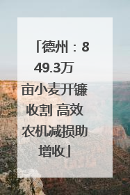 德州：849.3万亩小麦开镰收割 高效农机减损助增收