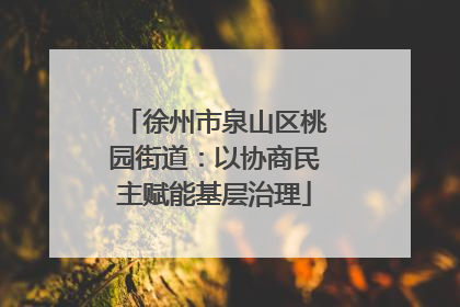 徐州市泉山区桃园街道：以协商民主赋能基层治理