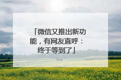 微信又推出新功能，有网友直呼：终于等到了