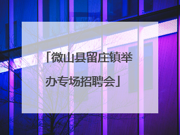 微山县留庄镇举办专场招聘会