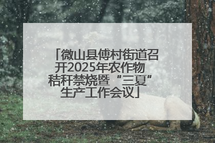 微山县傅村街道召开2025年农作物秸秆禁烧暨“三夏”生产工作会议