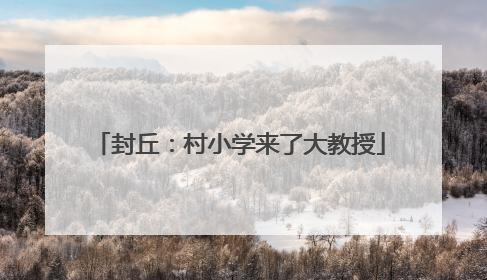 封丘：村小学来了大教授