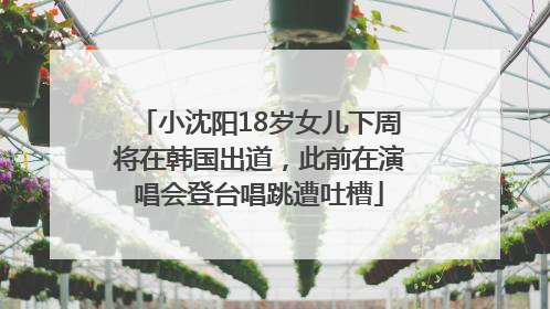 小沈阳18岁女儿下周将在韩国出道，此前在演唱会登台唱跳遭吐槽