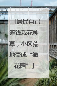 居民自己筹钱栽花种草，小区荒地变成“微花园”
