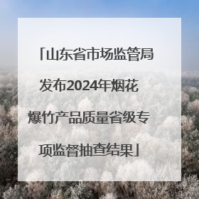 山东省市场监管局发布2024年烟花爆竹产品质量省级专项监督抽查结果
