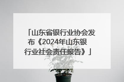 山东省银行业协会发布《2024年山东银行业社会责任报告》