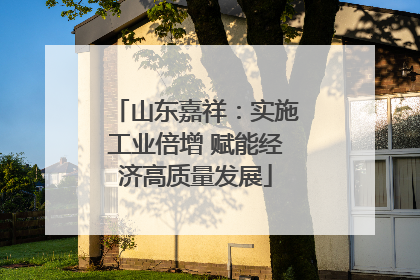 山东嘉祥：实施工业倍增 赋能经济高质量发展