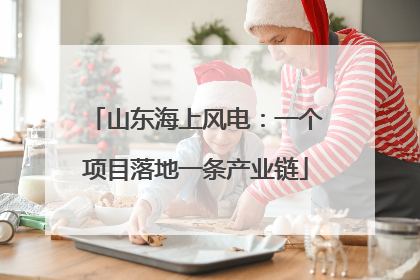 山东海上风电：一个项目落地一条产业链