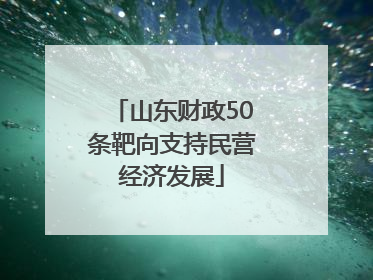山东财政50条靶向支持民营经济发展