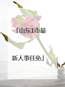 山东1市最新人事任免