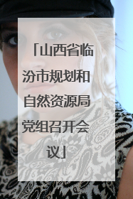 山西省临汾市规划和自然资源局党组召开会议