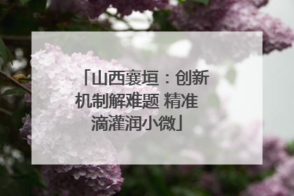 山西襄垣：创新机制解难题 精准滴灌润小微