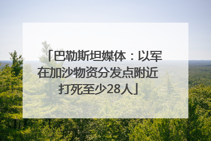 巴勒斯坦媒体：以军在加沙物资分发点附近打死至少28人