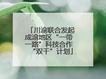 川渝联合发起成渝地区“一带一路”科技合作“双千”计划