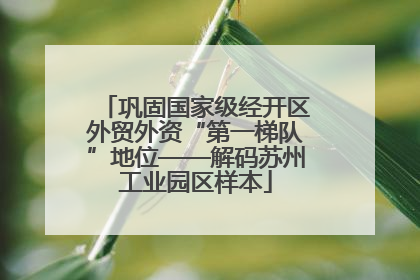 巩固国家级经开区外贸外资“第一梯队”地位——解码苏州工业园区样本