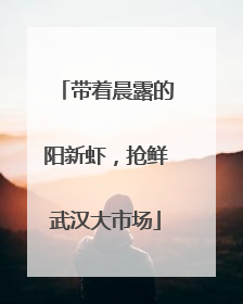 带着晨露的阳新虾，抢鲜武汉大市场