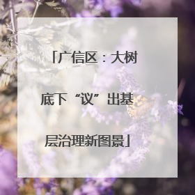 广信区:大树底下“议”出基层治理新图景