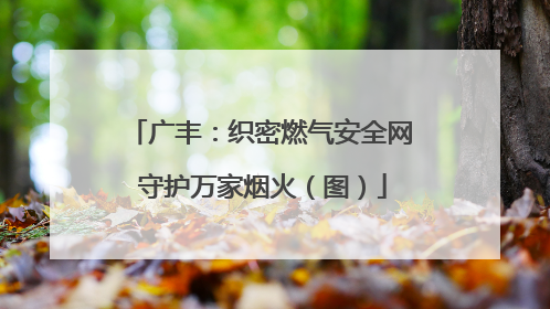 广丰：织密燃气安全网 守护万家烟火（图）