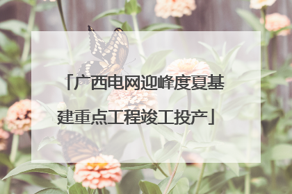 广西电网迎峰度夏基建重点工程竣工投产