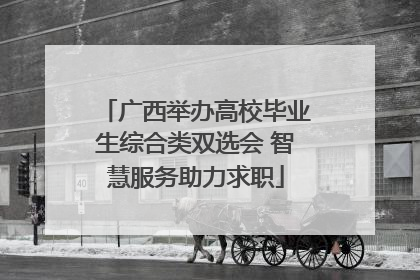 广西举办高校毕业生综合类双选会 智慧服务助力求职