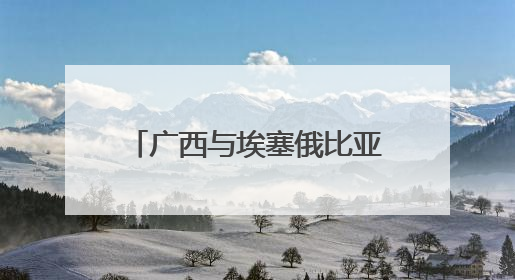 广西与埃塞俄比亚开展经贸合作交流