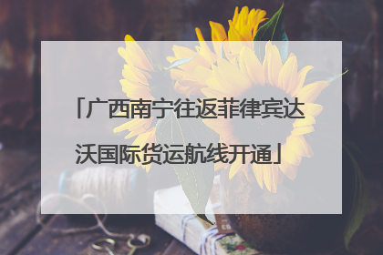 广西南宁往返菲律宾达沃国际货运航线开通