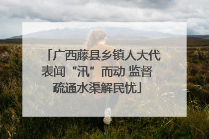 广西藤县乡镇人大代表闻“汛”而动 监督疏通水渠解民忧