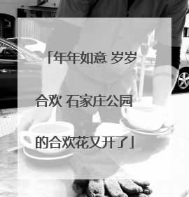年年如意 岁岁合欢 石家庄公园的合欢花又开了