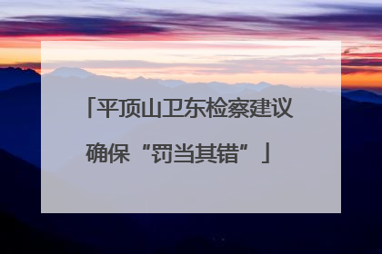 平顶山卫东检察建议确保“罚当其错”