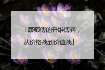 康师傅的升维博弈，从价格战到价值战