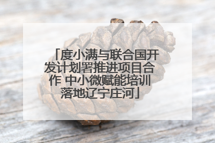 度小满与联合国开发计划署推进项目合作 中小微赋能培训落地辽宁庄河