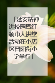 延安精神进校园暨红领巾大讲堂活动在小店区晋阳街小学举行