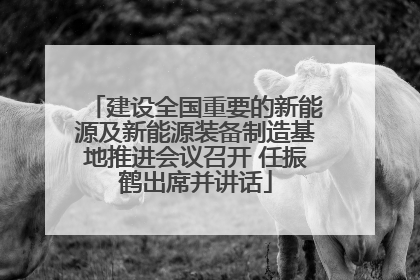 建设全国重要的新能源及新能源装备制造基地推进会议召开 任振鹤出席并讲话