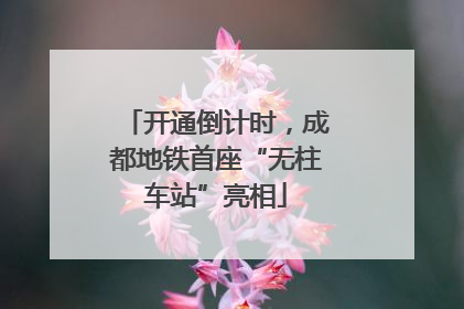 开通倒计时，成都地铁首座“无柱车站”亮相