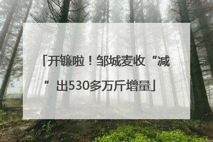 开镰啦！邹城麦收“减”出530多万斤增量