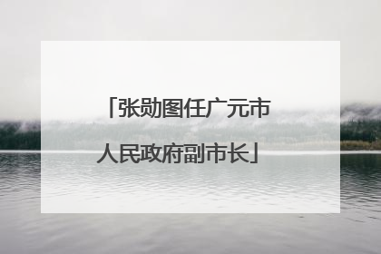 张勋图任广元市人民政府副市长