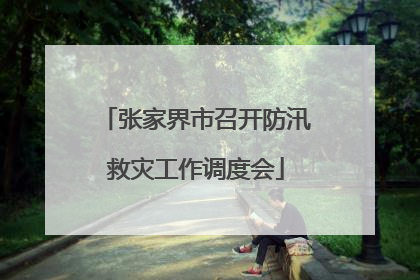 张家界市召开防汛救灾工作调度会