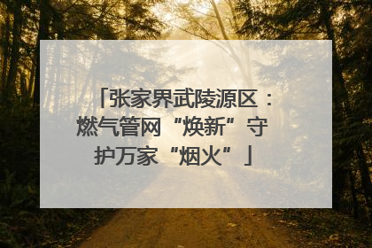 张家界武陵源区：燃气管网“焕新”守护万家“烟火”