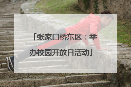 张家口桥东区：举办校园开放日活动