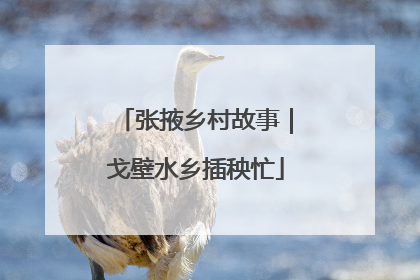 张掖乡村故事｜戈壁水乡插秧忙