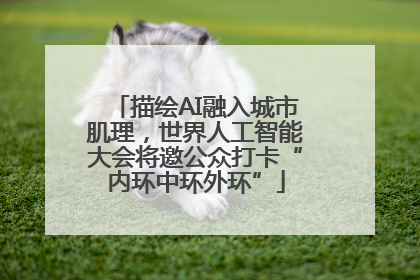 描绘AI融入城市肌理，世界人工智能大会将邀公众打卡“内环中环外环”