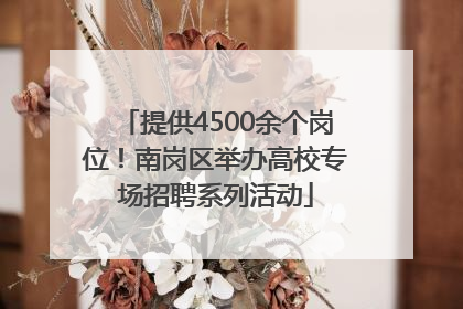 提供4500余个岗位！南岗区举办高校专场招聘系列活动