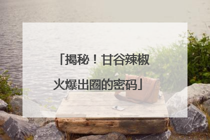 揭秘！甘谷辣椒火爆出圈的密码