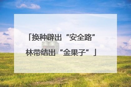 换种辟出“安全路” 林带结出“金果子”