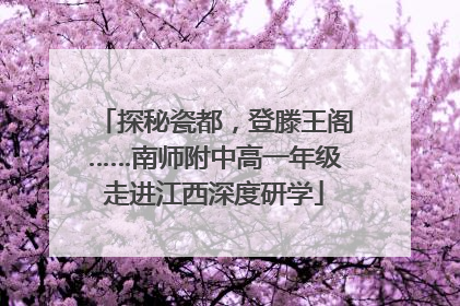 探秘瓷都，登滕王阁……南师附中高一年级走进江西深度研学