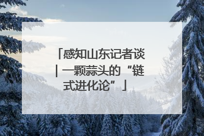 感知山东记者谈｜一颗蒜头的“链式进化论”