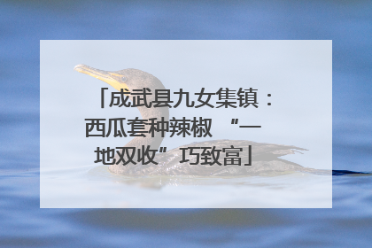 成武县九女集镇：西瓜套种辣椒 “一地双收”巧致富