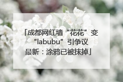 成都网红墙“花花”变“labubu”引争议 最新：涂鸦已被抹掉