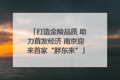 打造金陵品质 助力首发经济 南京迎来首家“胖东来”