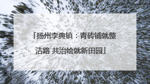 扬州李典镇：青砖铺就整洁路 共治绘就新田园